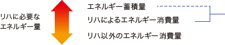 リハに必要なエネルギー